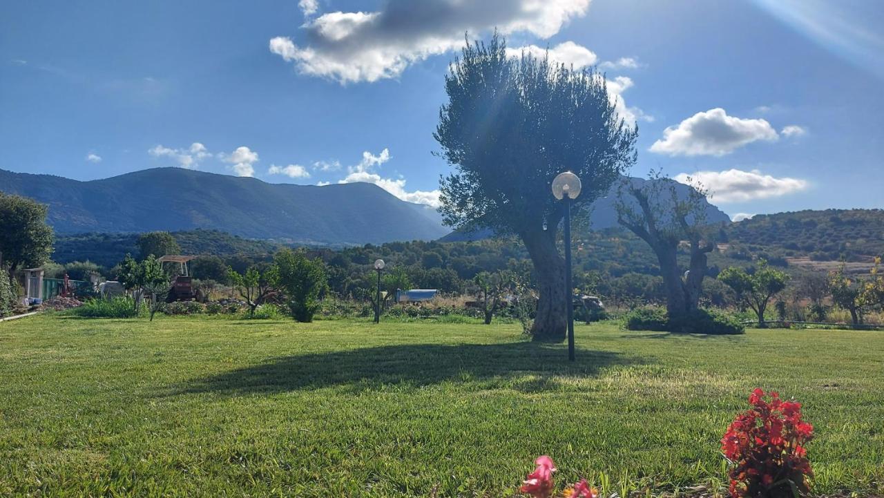 Le Colline Di Paestum Bed & Breakfast Capaccio Ngoại thất bức ảnh