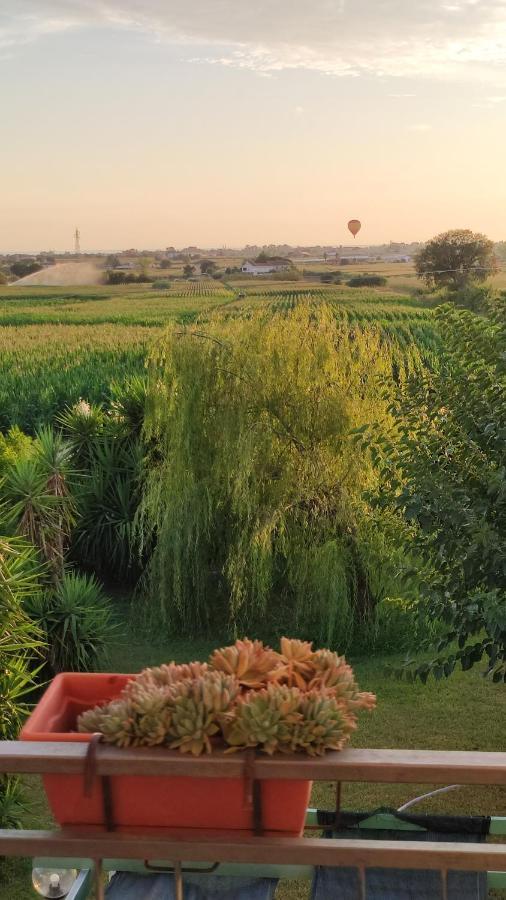 Le Colline Di Paestum Bed & Breakfast Capaccio Ngoại thất bức ảnh