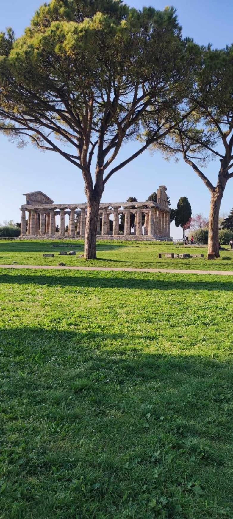 Le Colline Di Paestum Bed & Breakfast Capaccio Ngoại thất bức ảnh