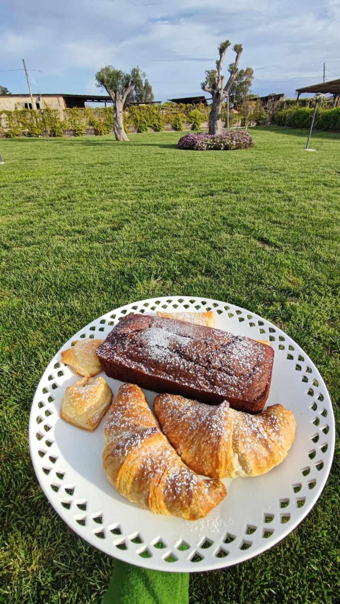 Le Colline Di Paestum Bed & Breakfast Capaccio Ngoại thất bức ảnh
