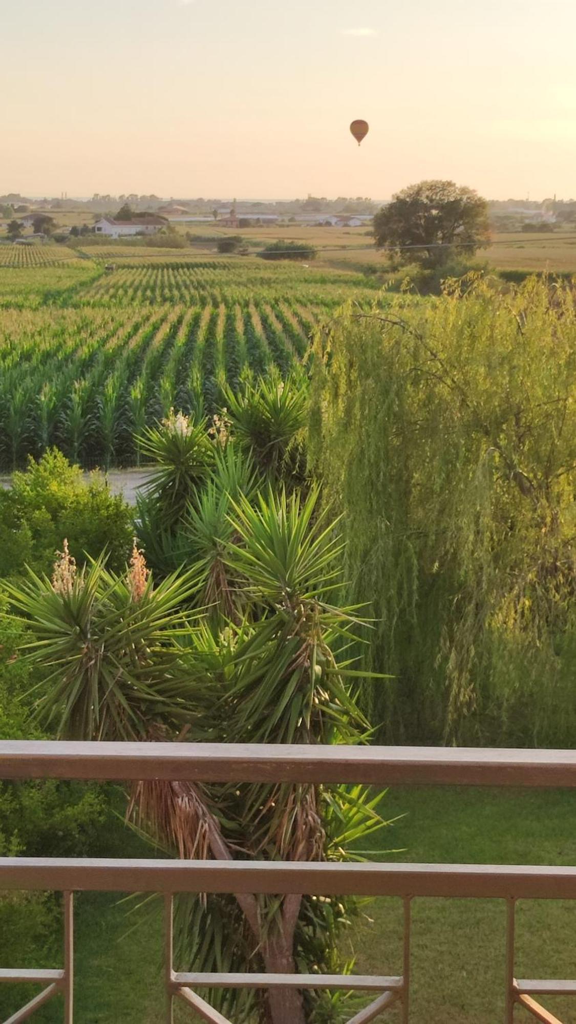 Le Colline Di Paestum Bed & Breakfast Capaccio Phòng bức ảnh